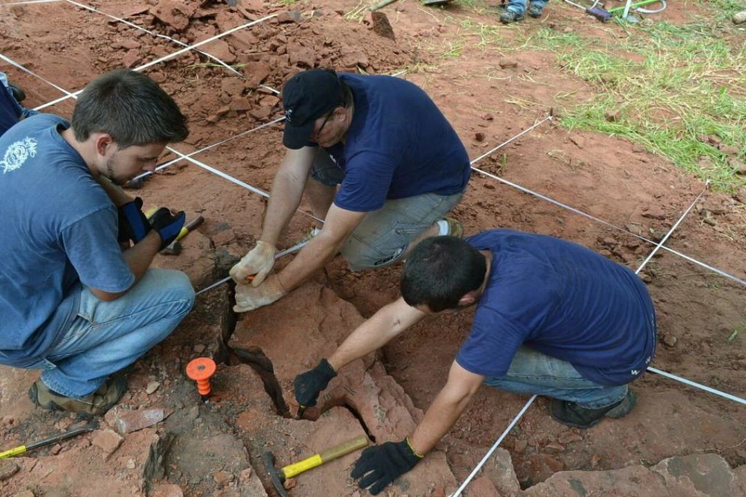 Los paleontólogos recuperaron fósiles de una nueva especie de dinosaurio descubierta en Cruzeiro do Oeste, Brasil. Foto: Museo Nacional de Río de Janeiro. 