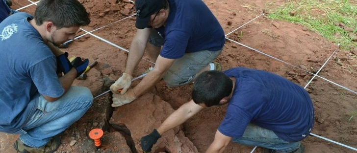 Los paleontólogos recuperaron fósiles de una nueva especie de dinosaurio descubierta en Cruzeiro do Oeste, Brasil. Foto: Museo Nacional de Río de Janeiro.